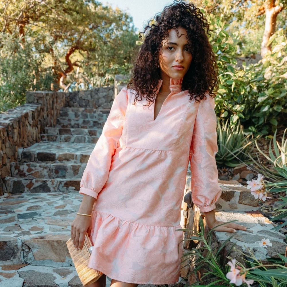 NWT Tuckernuck Bellini Pink Fil Coupe Palmerston Dress